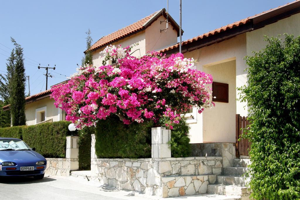 Hilltop Chalet Pissouri Bagian luar foto
